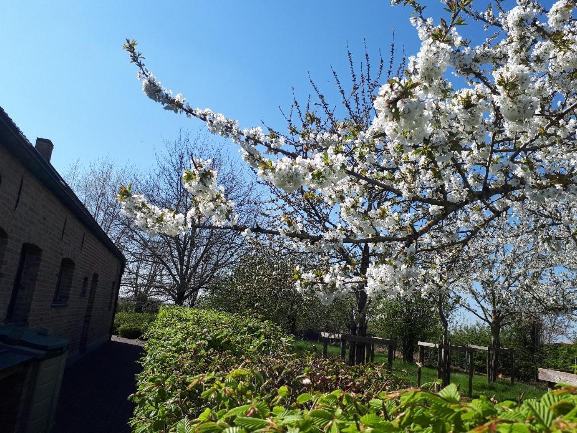 Vakantiehoeve De Klepperij Houthulst Buitenkant foto